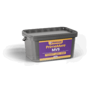 Prime<span class="product-title-colour prime-more-mvs"><i>More</i> MVS</span>